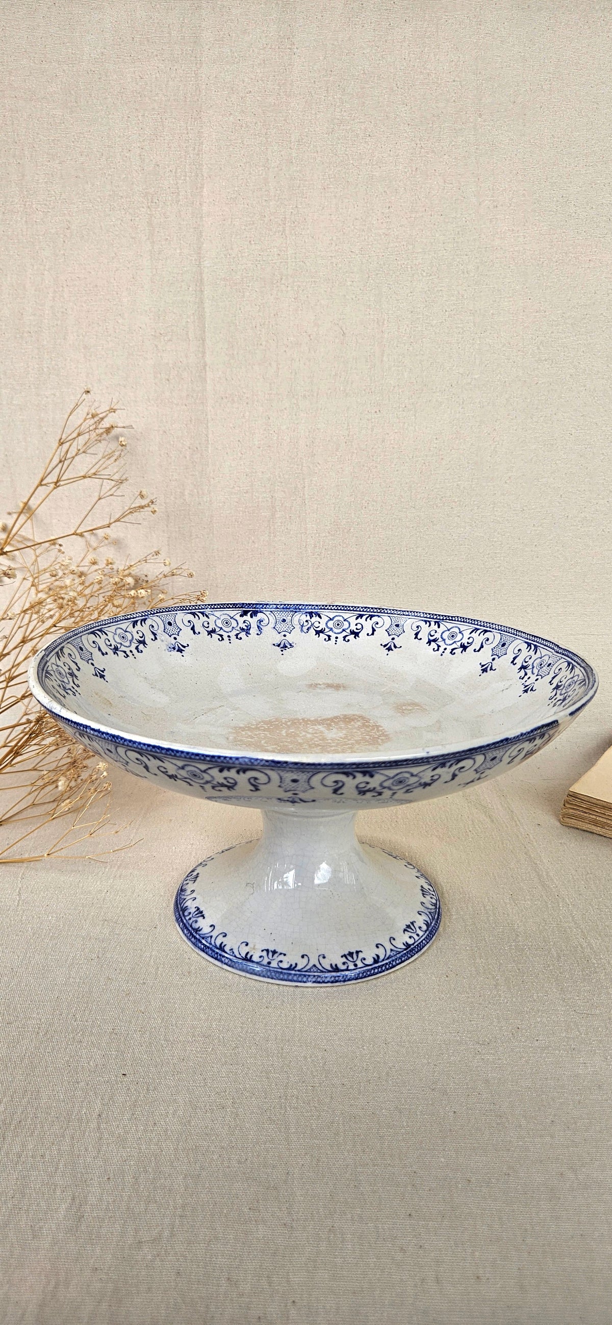 Coupe sur piédouche Creil et Montereau Labrador