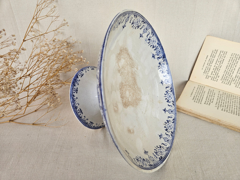 Coupe sur piédouche Creil et Montereau Labrador