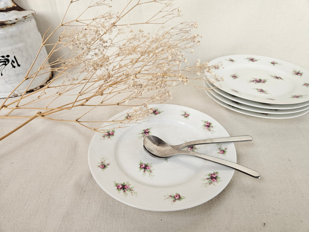 5 assiettes à dessert Limoges France 19 cm