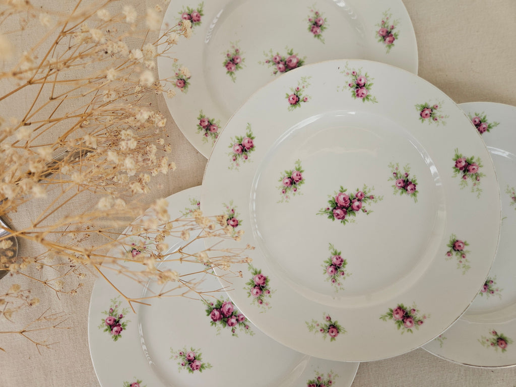5 assiettes à dessert Limoges France 19 cm