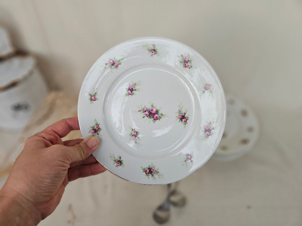 5 assiettes à dessert Limoges France 19 cm
