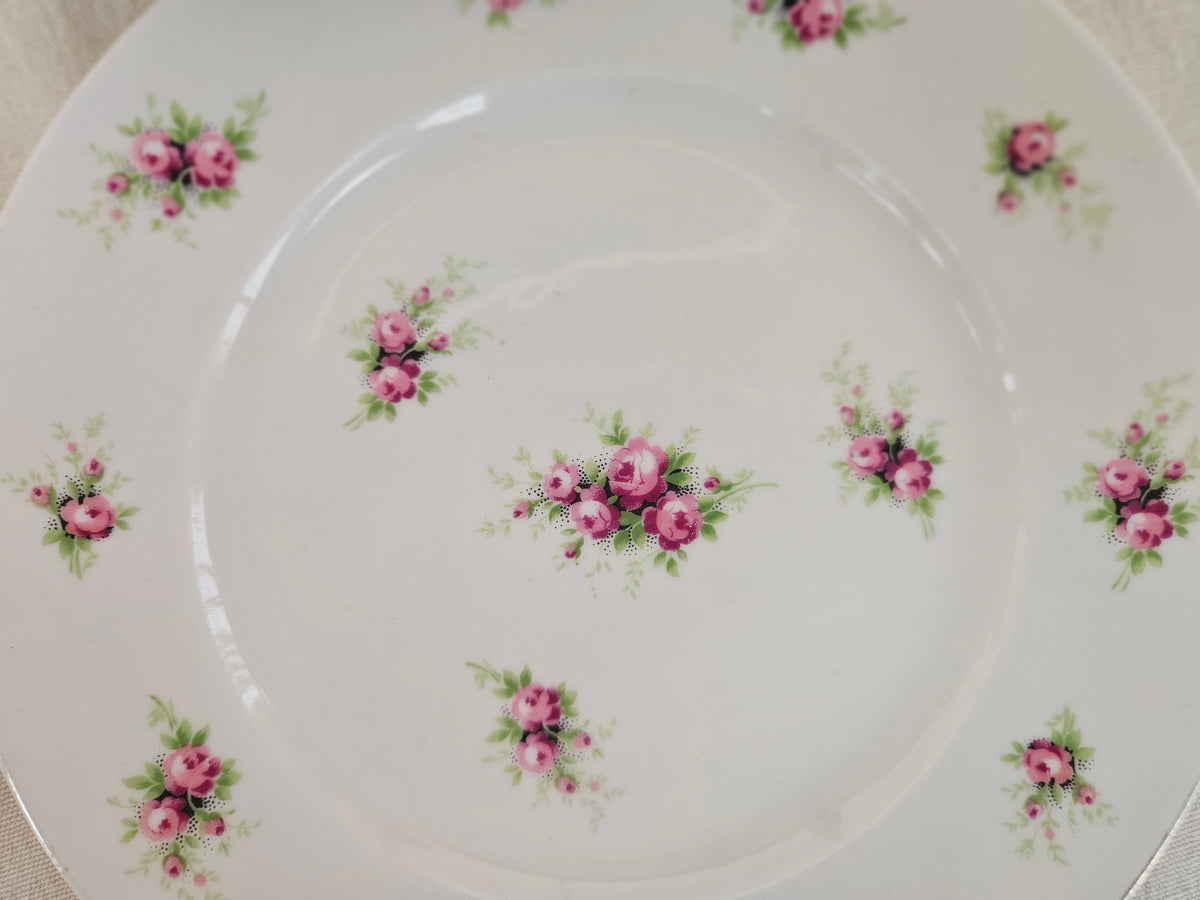 5 assiettes à dessert Limoges France 19 cm