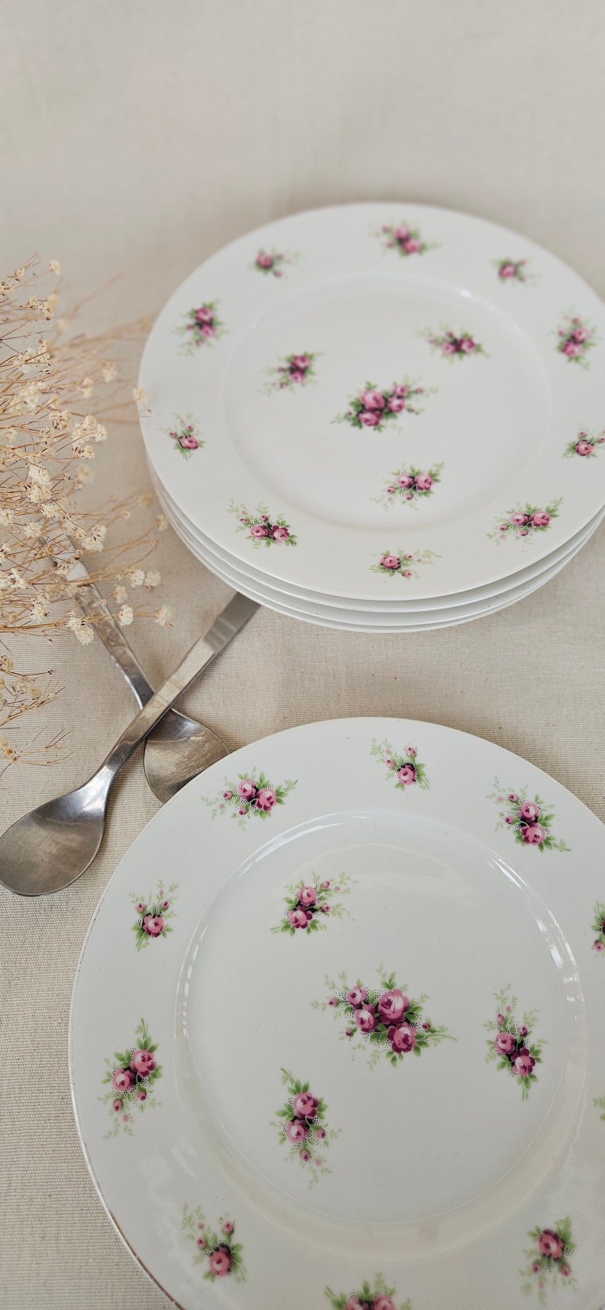 5 assiettes à dessert Limoges France 19 cm