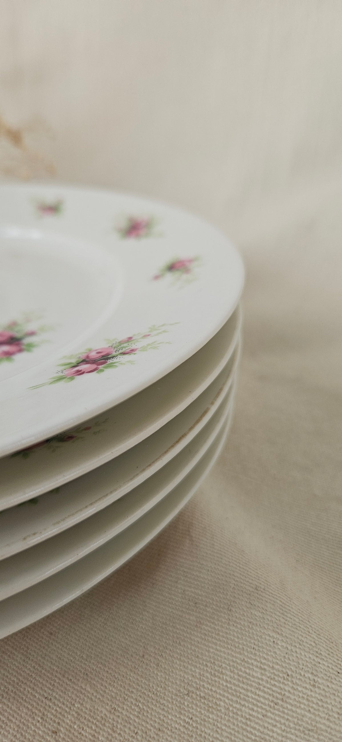 5 assiettes à dessert Limoges France 19 cm
