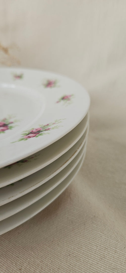 5 assiettes à dessert Limoges France 19 cm