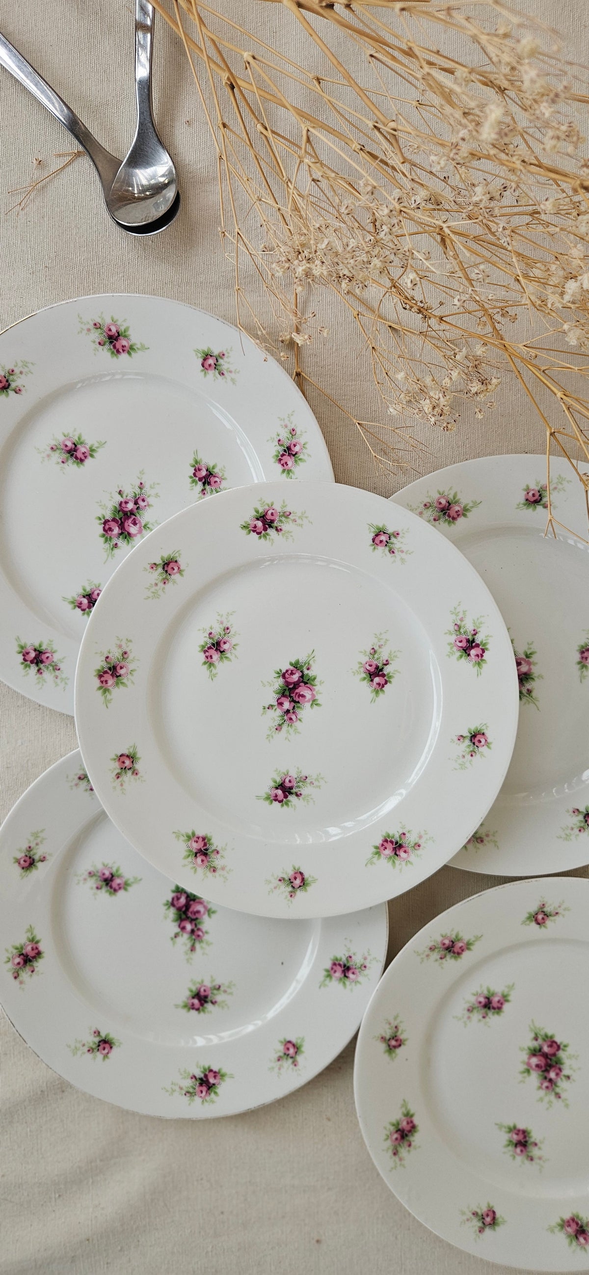 5 assiettes à dessert Limoges France 19 cm