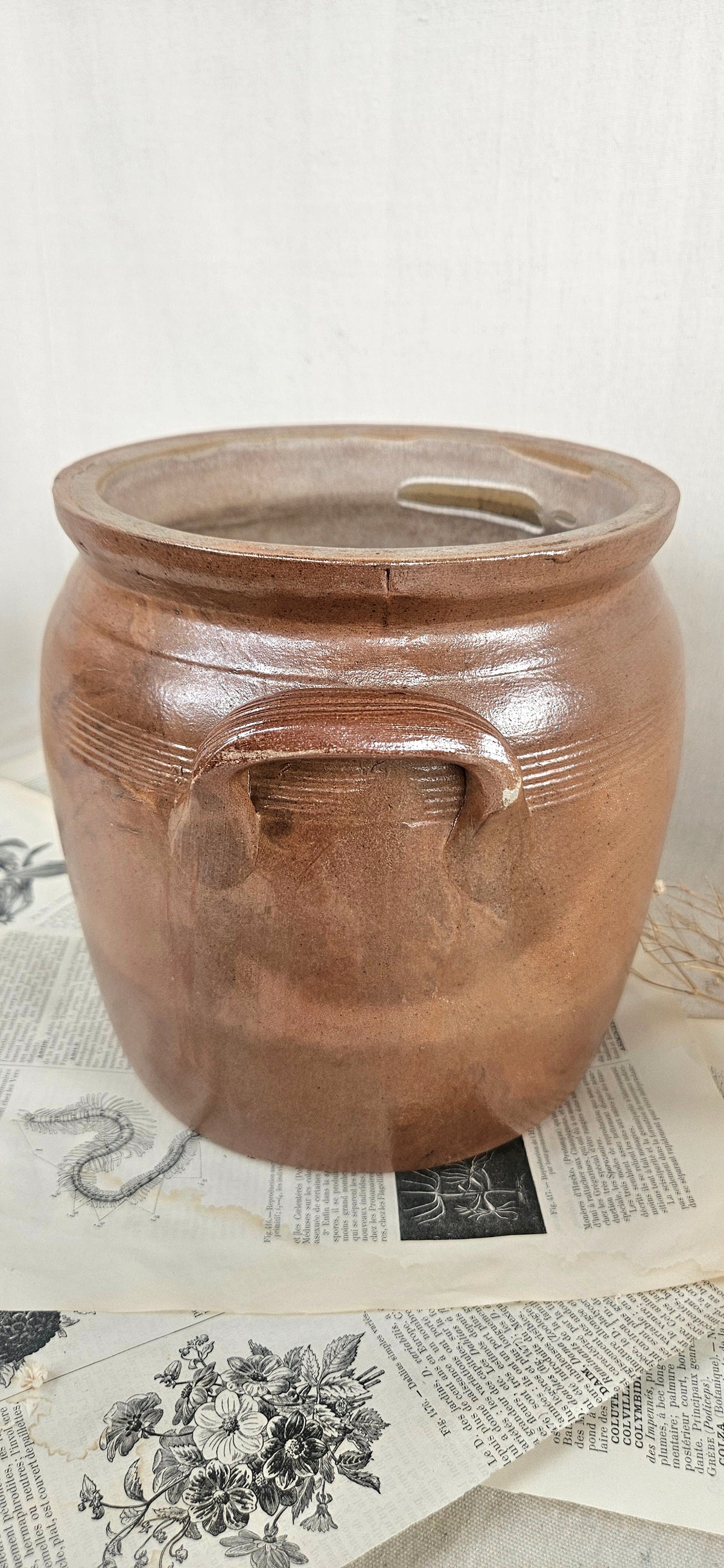Ancien pot à graisse en grès brun à anses 19CM