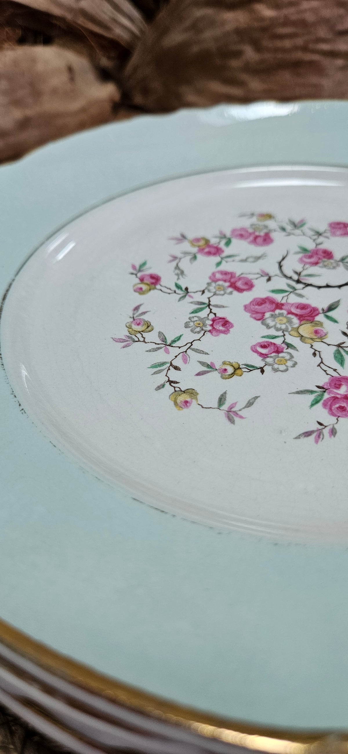 Assiette creuse Moulin des Loups bleu pastel fleurs roses 23 cm