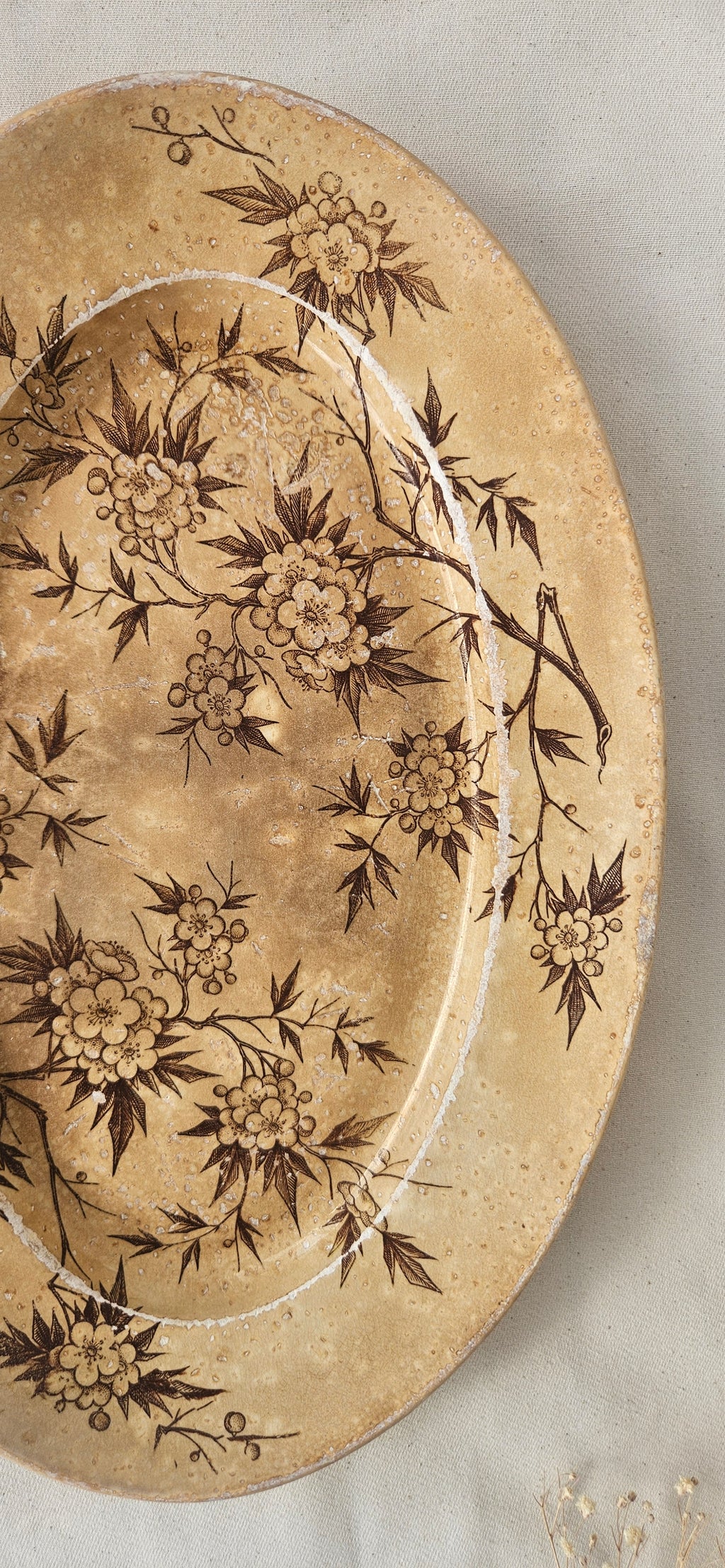 Ancien plat en faïence de Grigny