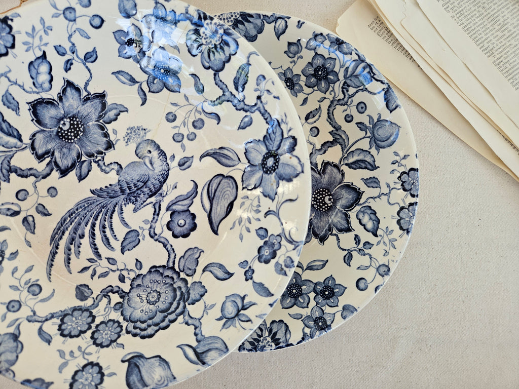 Paire d’assiettes creuses Villeroy & Boch Paradiso