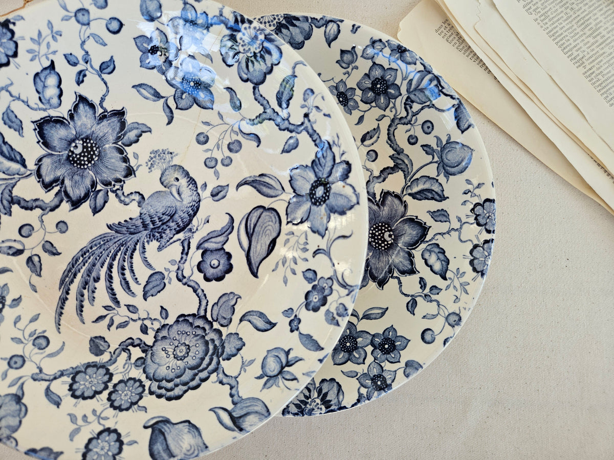 Paire d’assiettes creuses Villeroy & Boch Paradiso