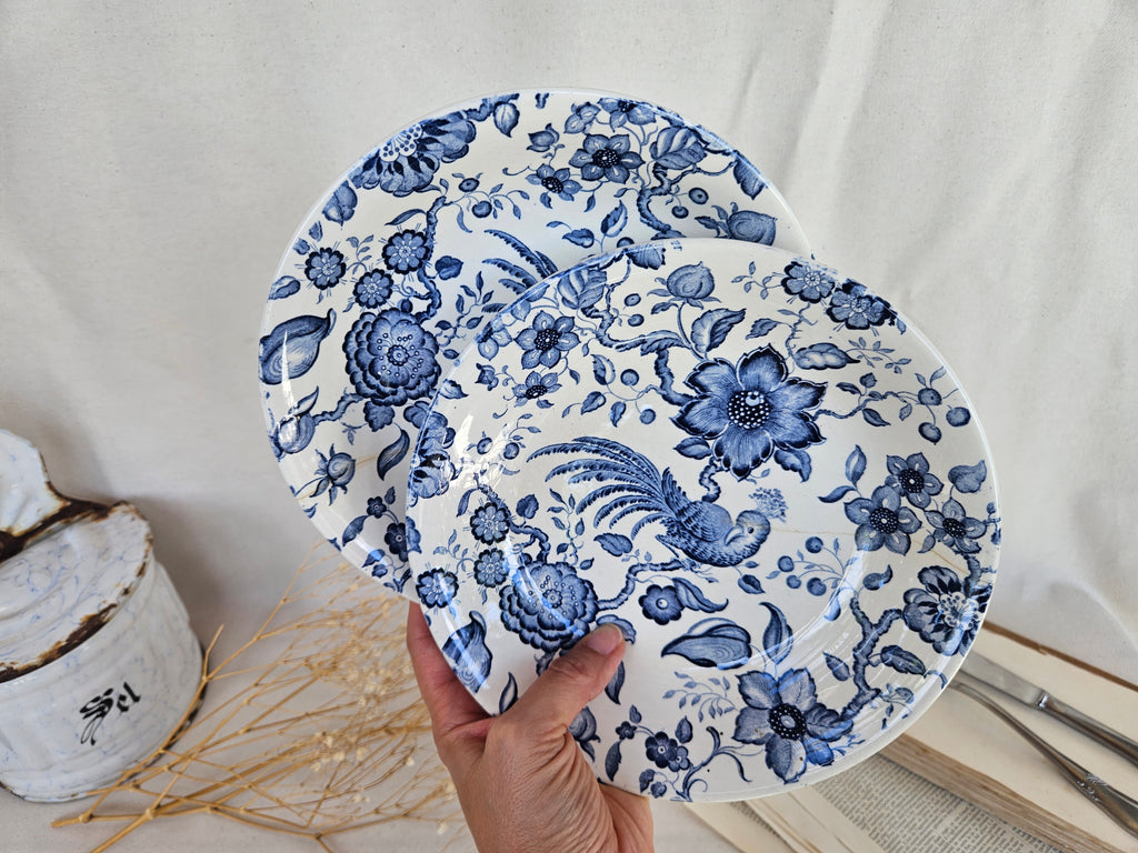 Paire d’assiettes creuses Villeroy & Boch Paradiso