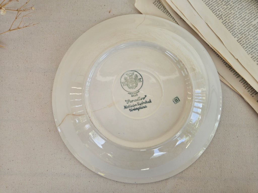 Paire d’assiettes creuses Villeroy & Boch Paradiso
