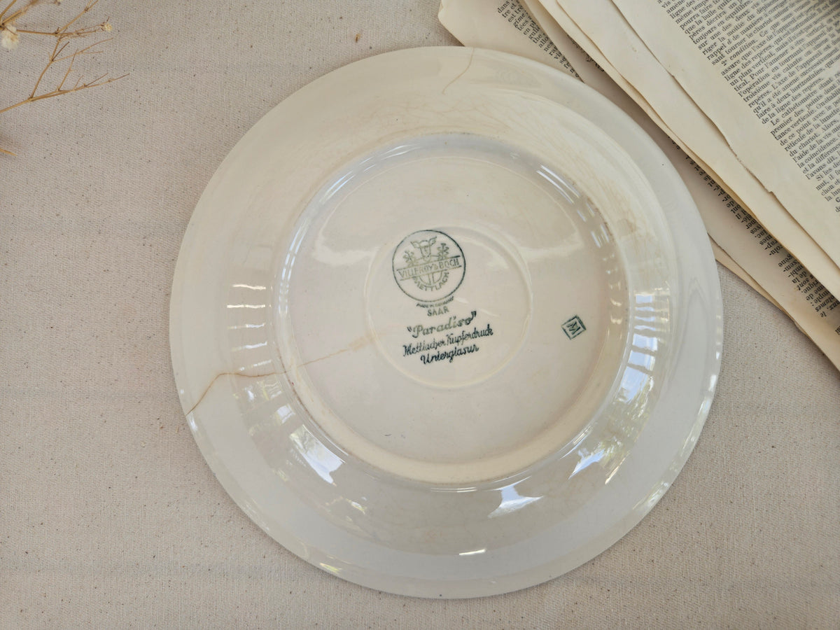 Paire d’assiettes creuses Villeroy & Boch Paradiso