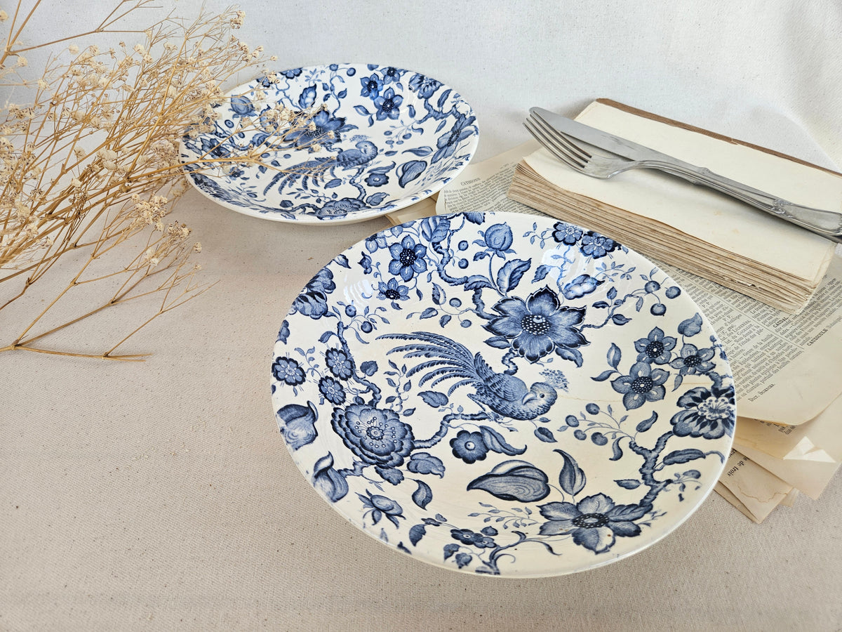 Paire d’assiettes creuses Villeroy & Boch Paradiso
