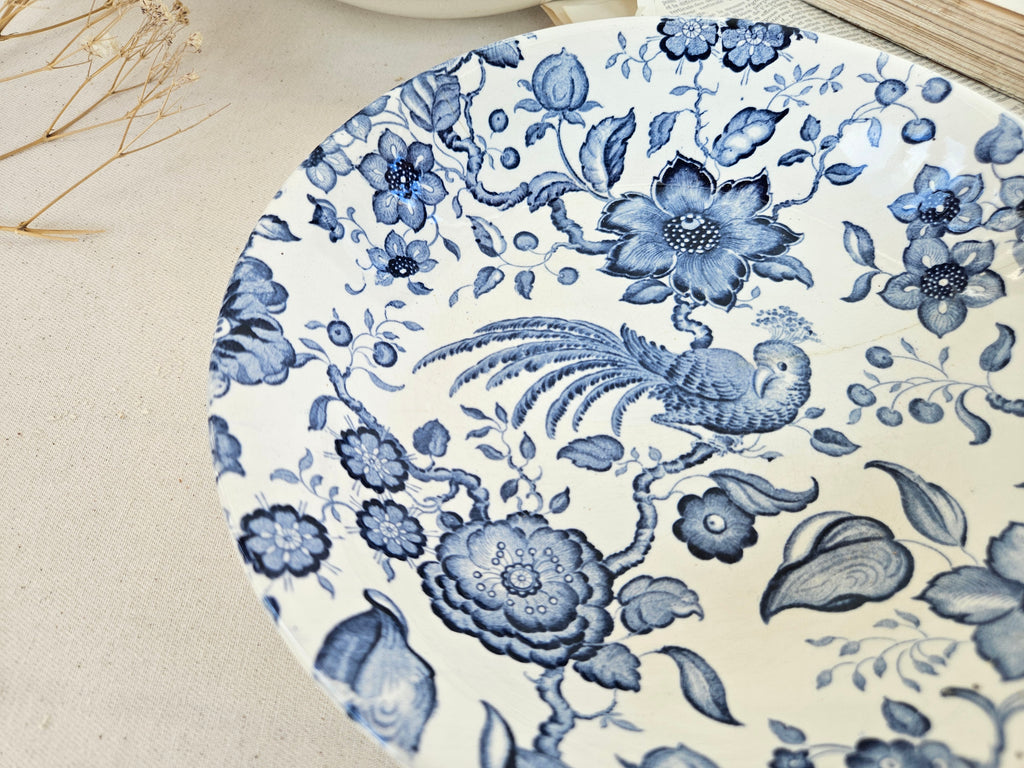 Paire d’assiettes creuses Villeroy & Boch Paradiso