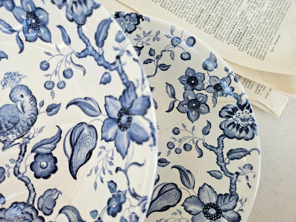 Paire d’assiettes creuses Villeroy & Boch Paradiso