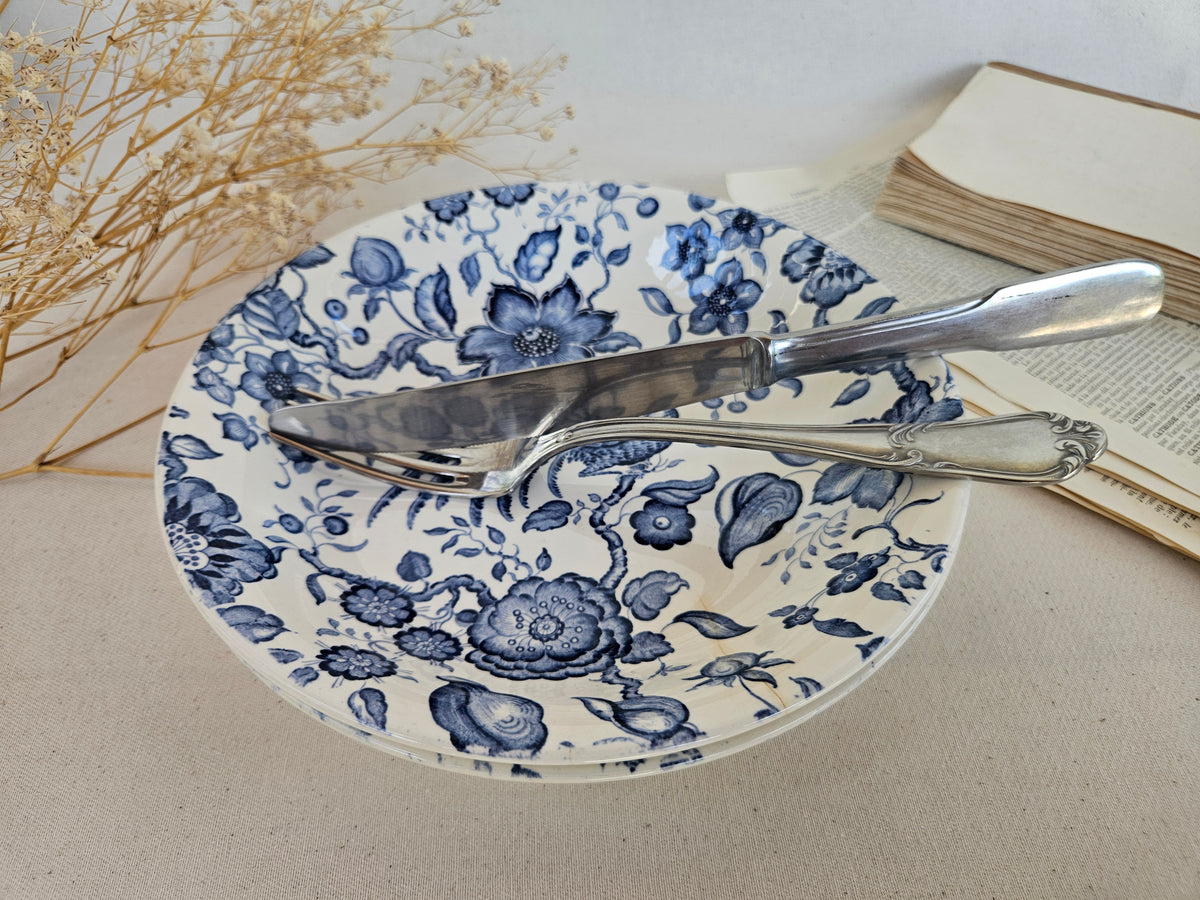 Paire d’assiettes creuses Villeroy & Boch Paradiso