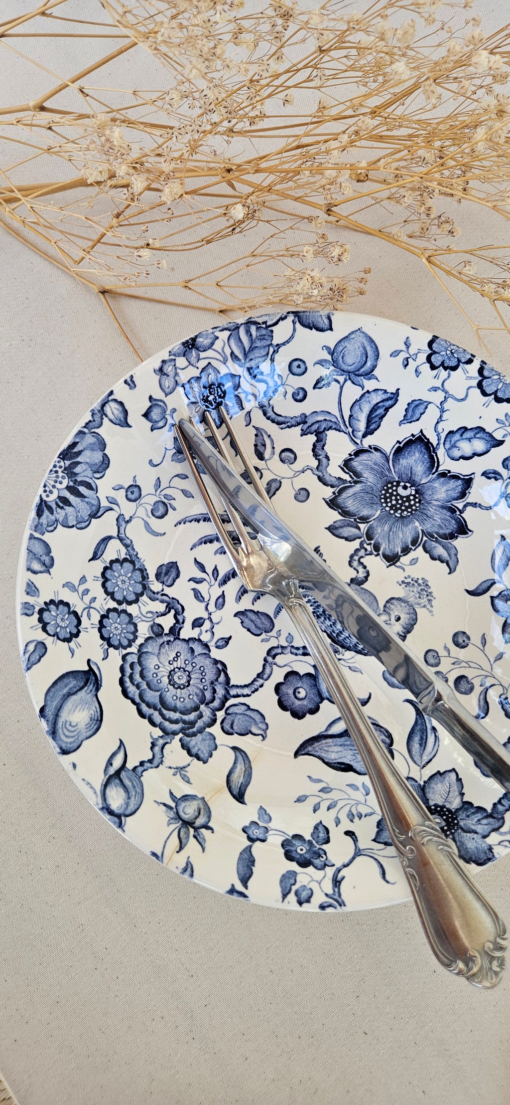 Paire d’assiettes creuses Villeroy & Boch Paradiso