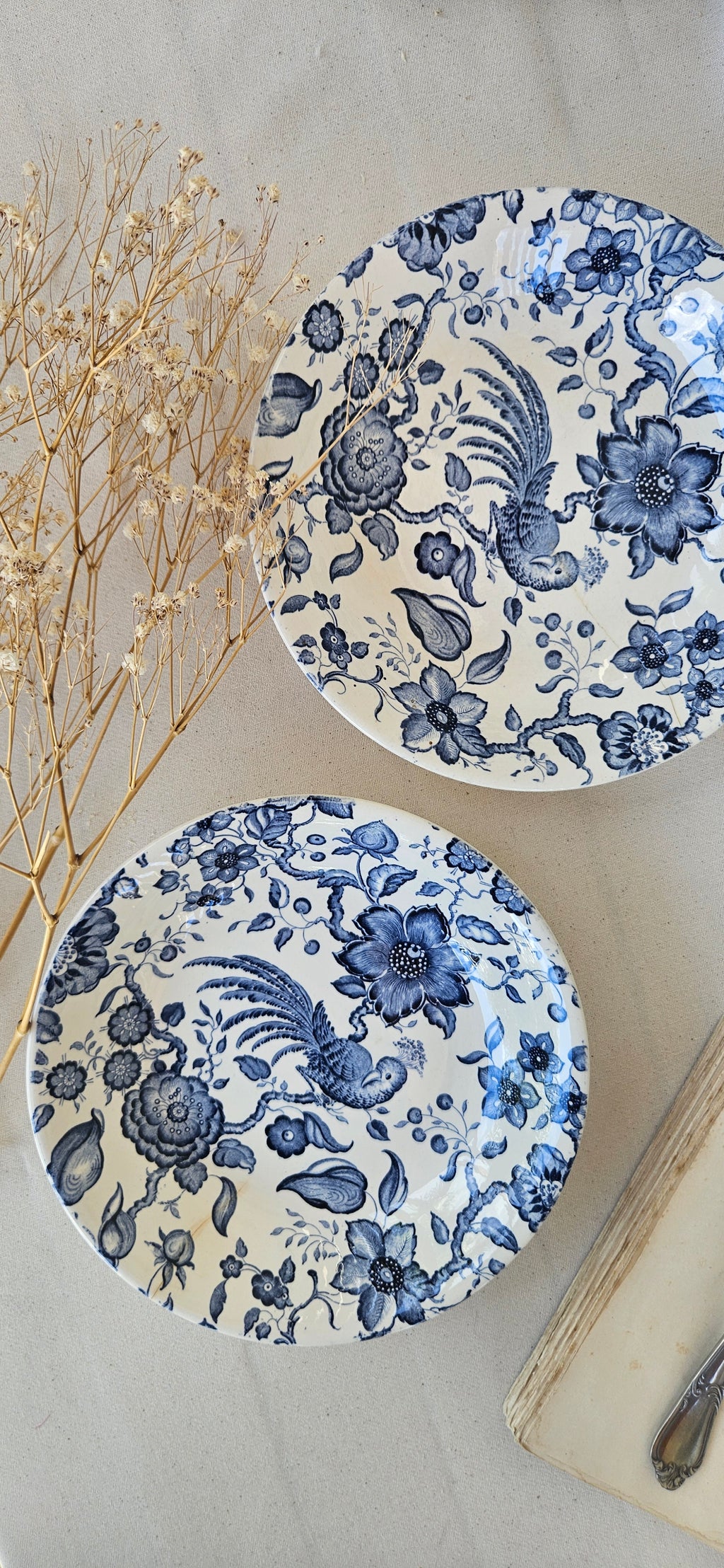 Paire d’assiettes creuses Villeroy & Boch Paradiso