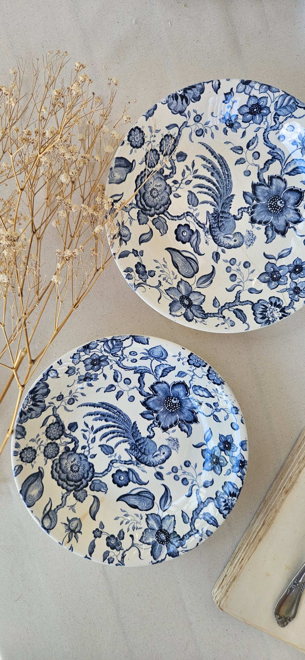 Paire d’assiettes creuses Villeroy & Boch Paradiso