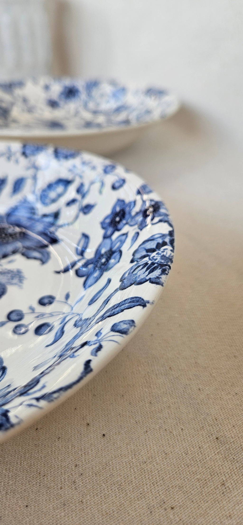 Paire d’assiettes creuses Villeroy & Boch Paradiso