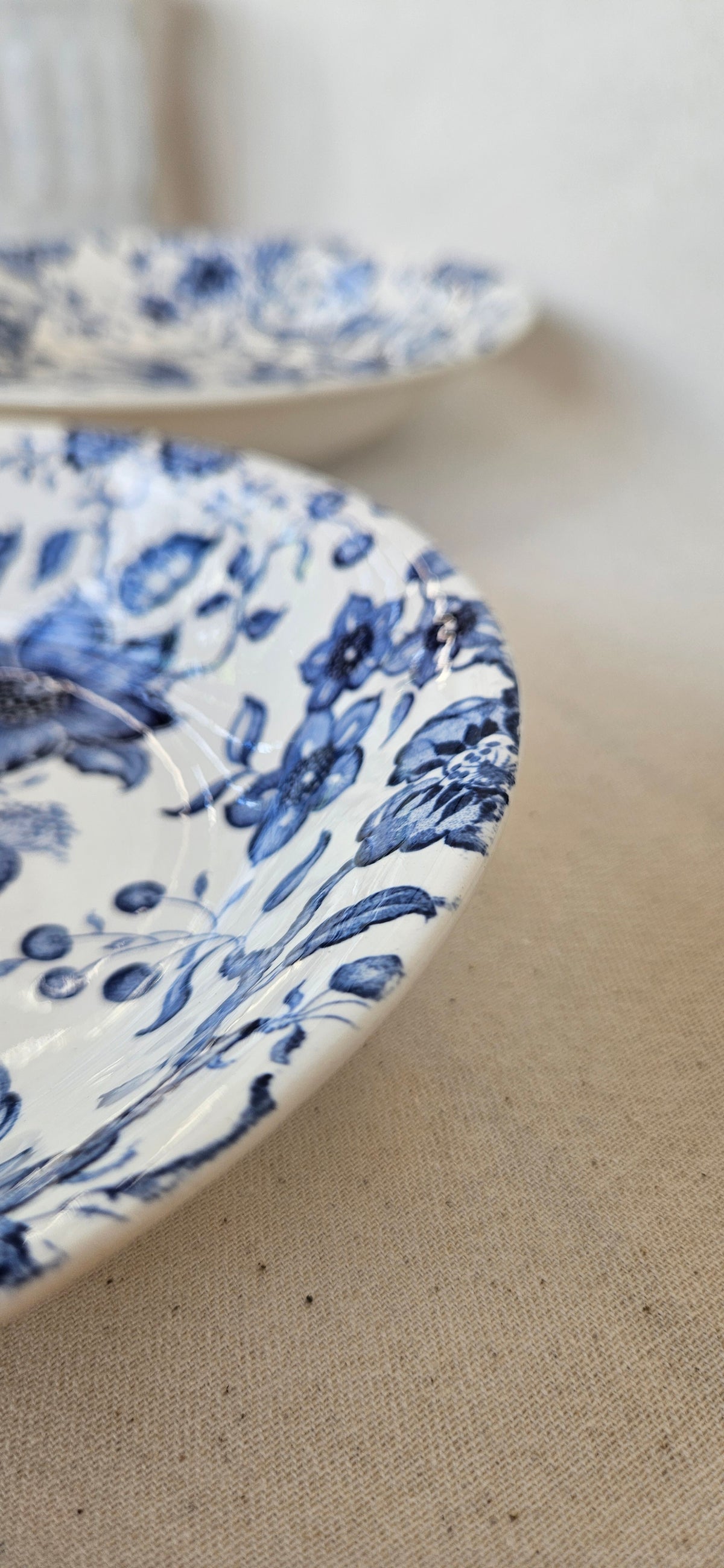 Paire d’assiettes creuses Villeroy & Boch Paradiso