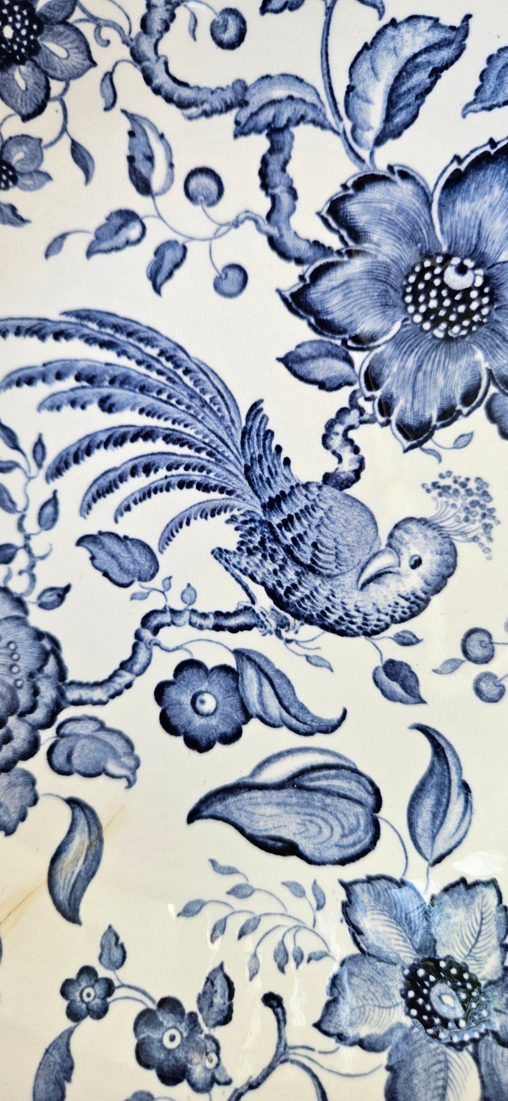 Paire d’assiettes creuses Villeroy & Boch Paradiso