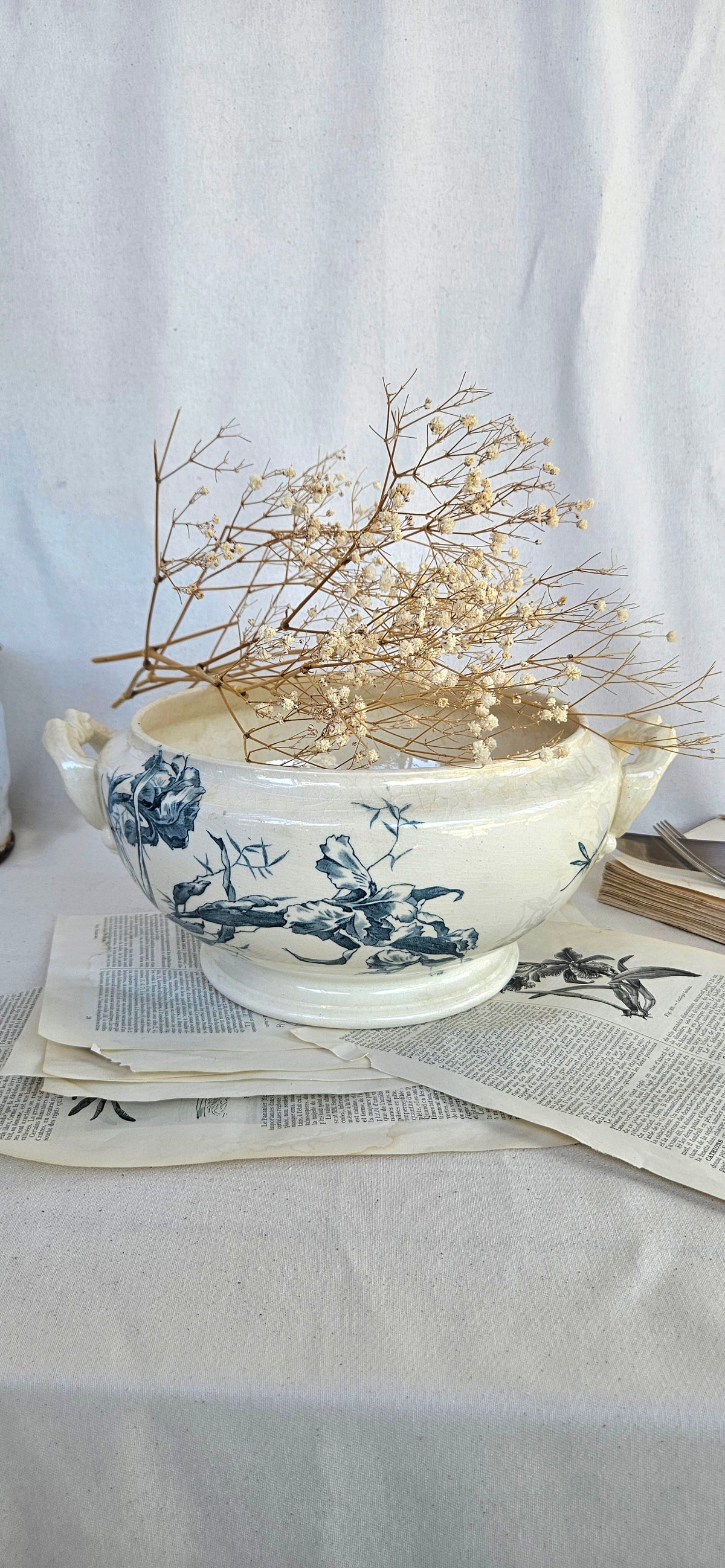 Ancienne Soupière Gien Iris en Faïence Fine Bleue