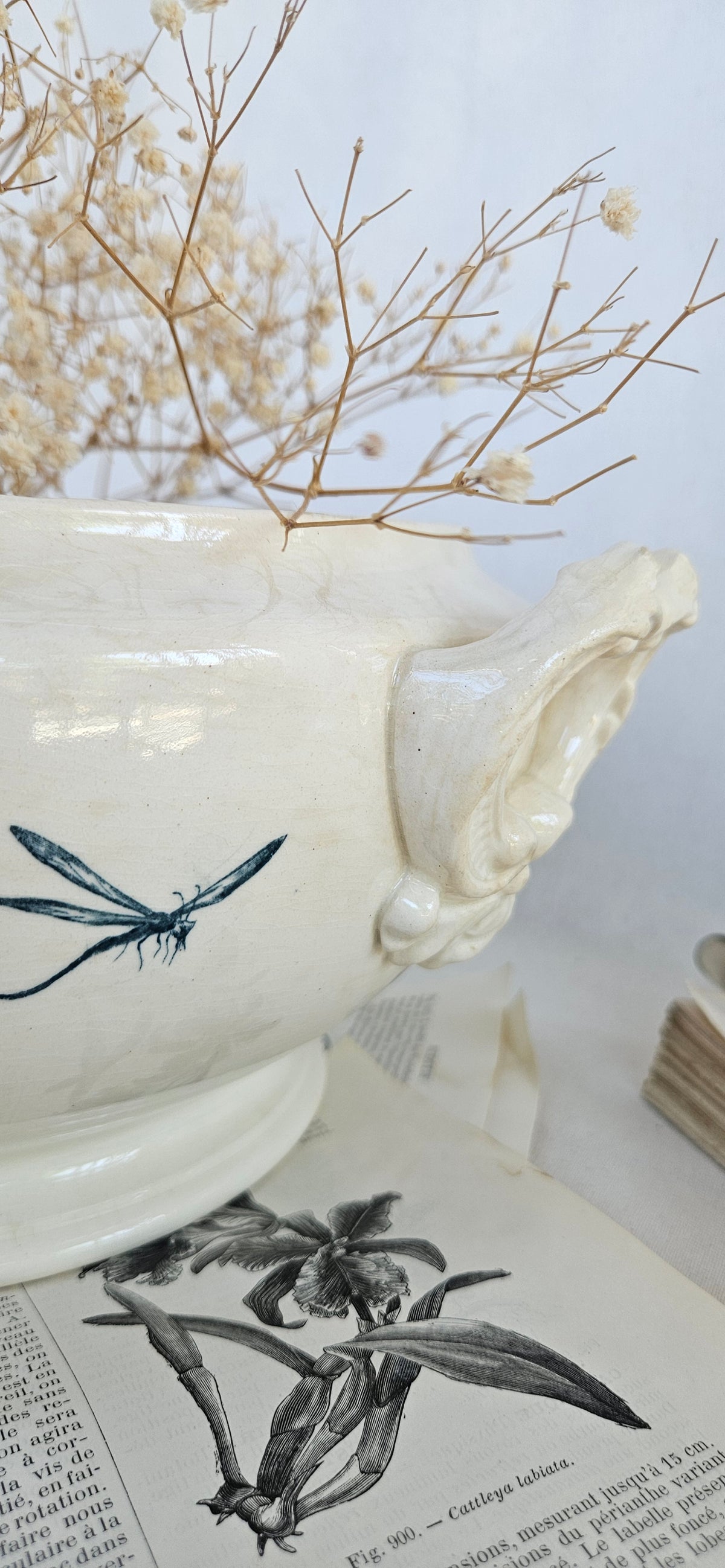 Ancienne Soupière Gien Iris en Faïence Fine Bleue