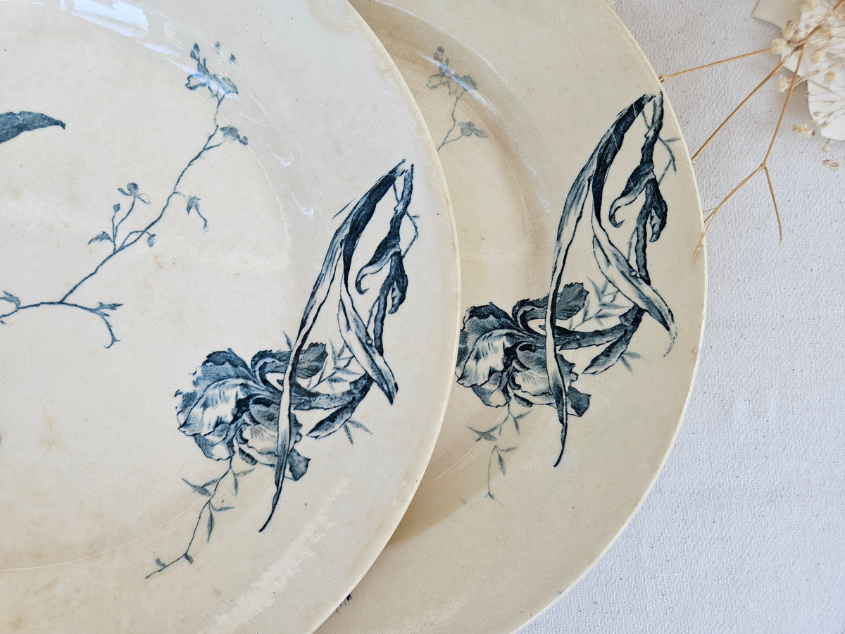Duo de plats Gien Iris en terre de fer 28cm