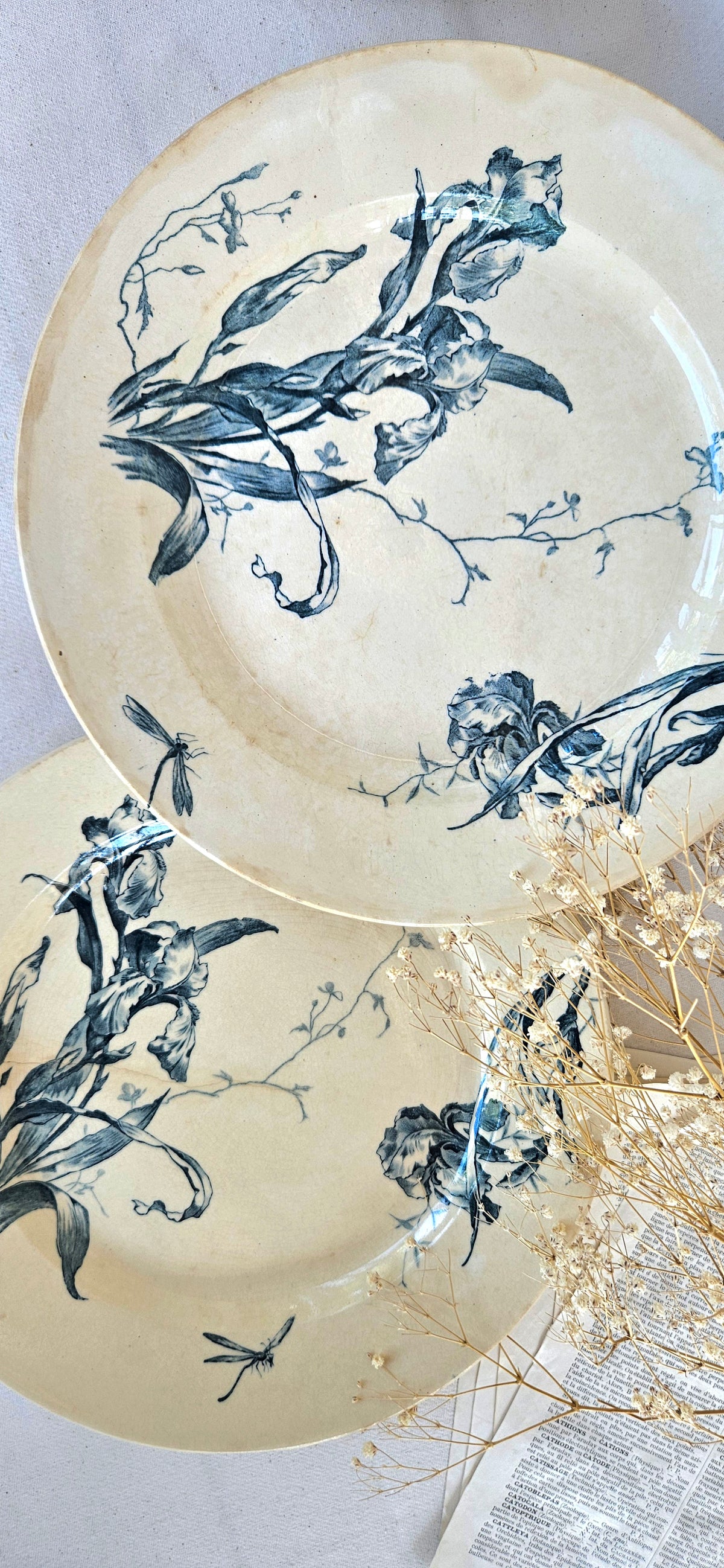 Duo de plats Gien Iris en terre de fer 28cm