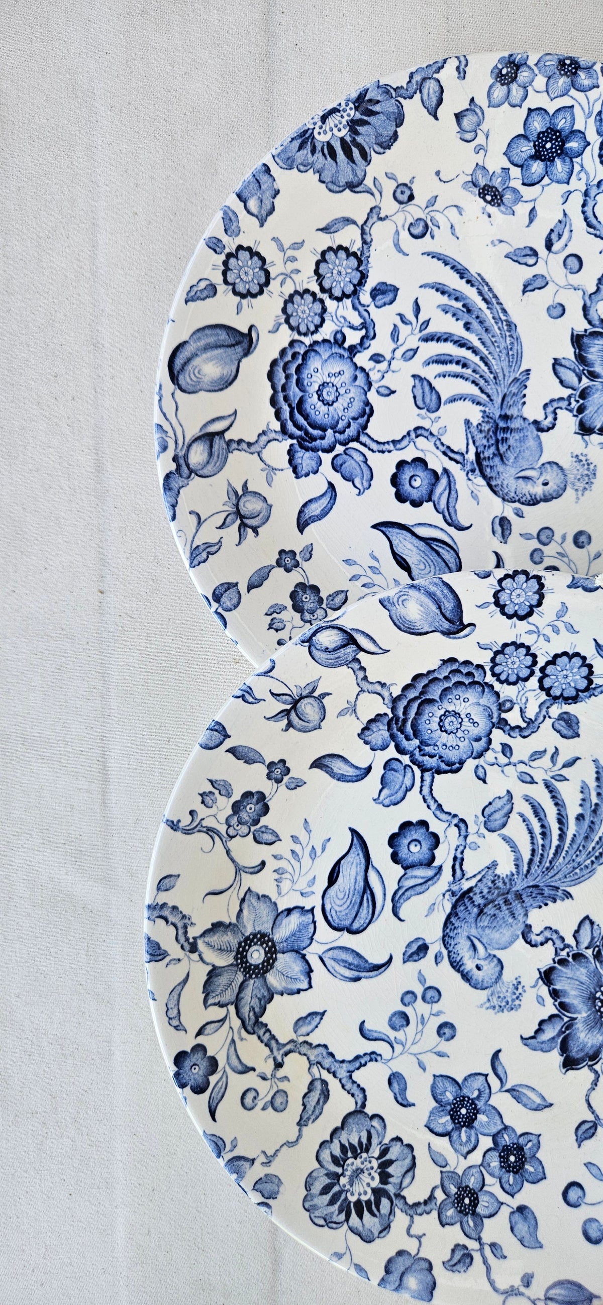 Paire d’assiettes anciennes Villeroy and Boch Paradiso Saar