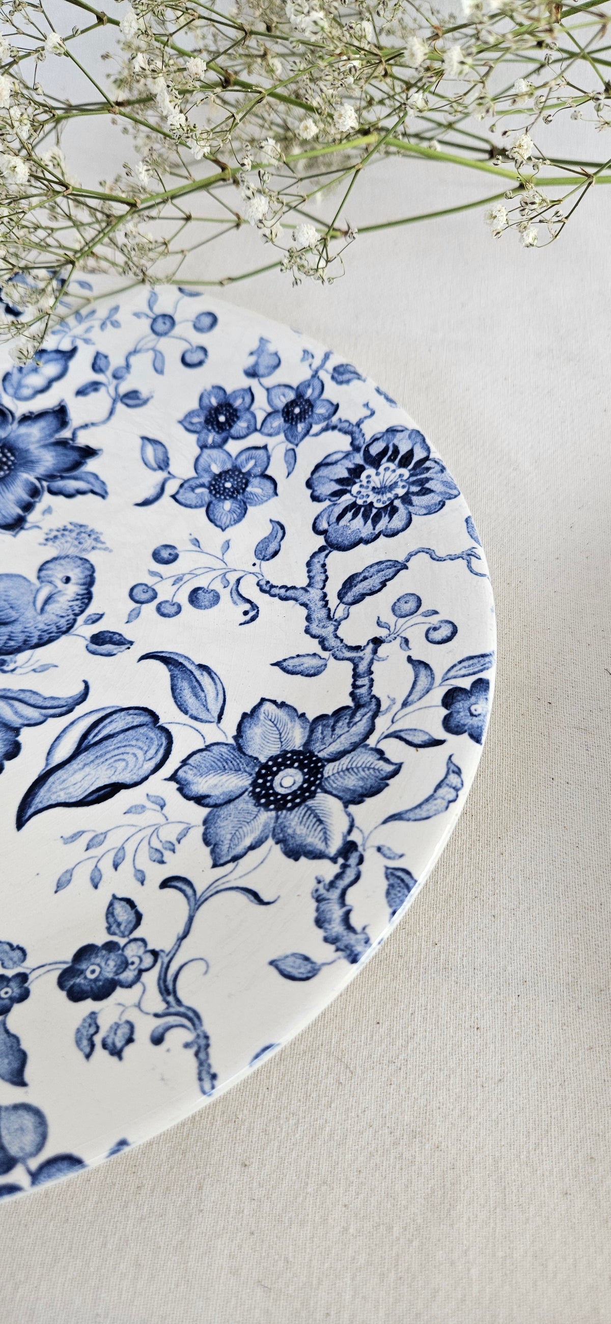 Paire d’assiettes anciennes Villeroy and Boch Paradiso Saar