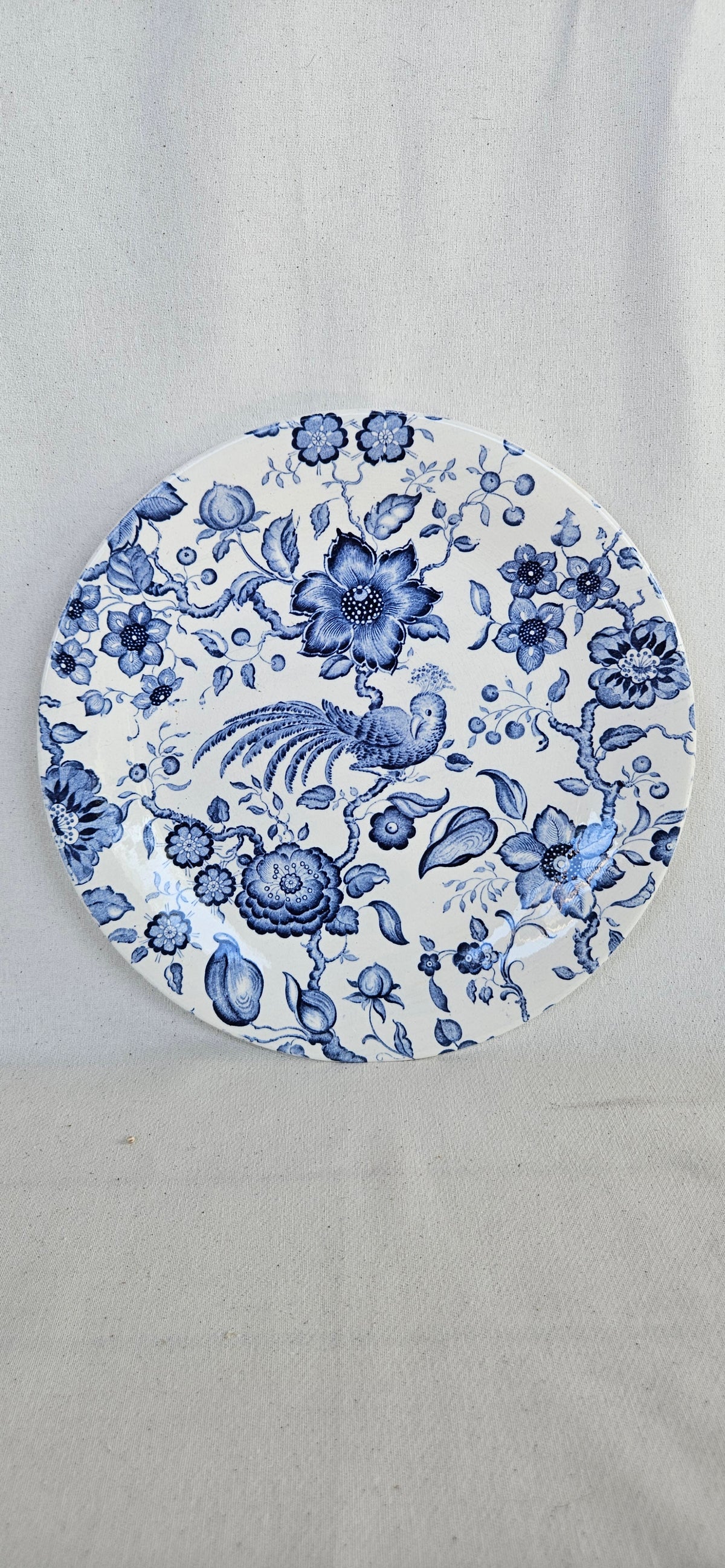 Paire d’assiettes anciennes Villeroy and Boch Paradiso Saar