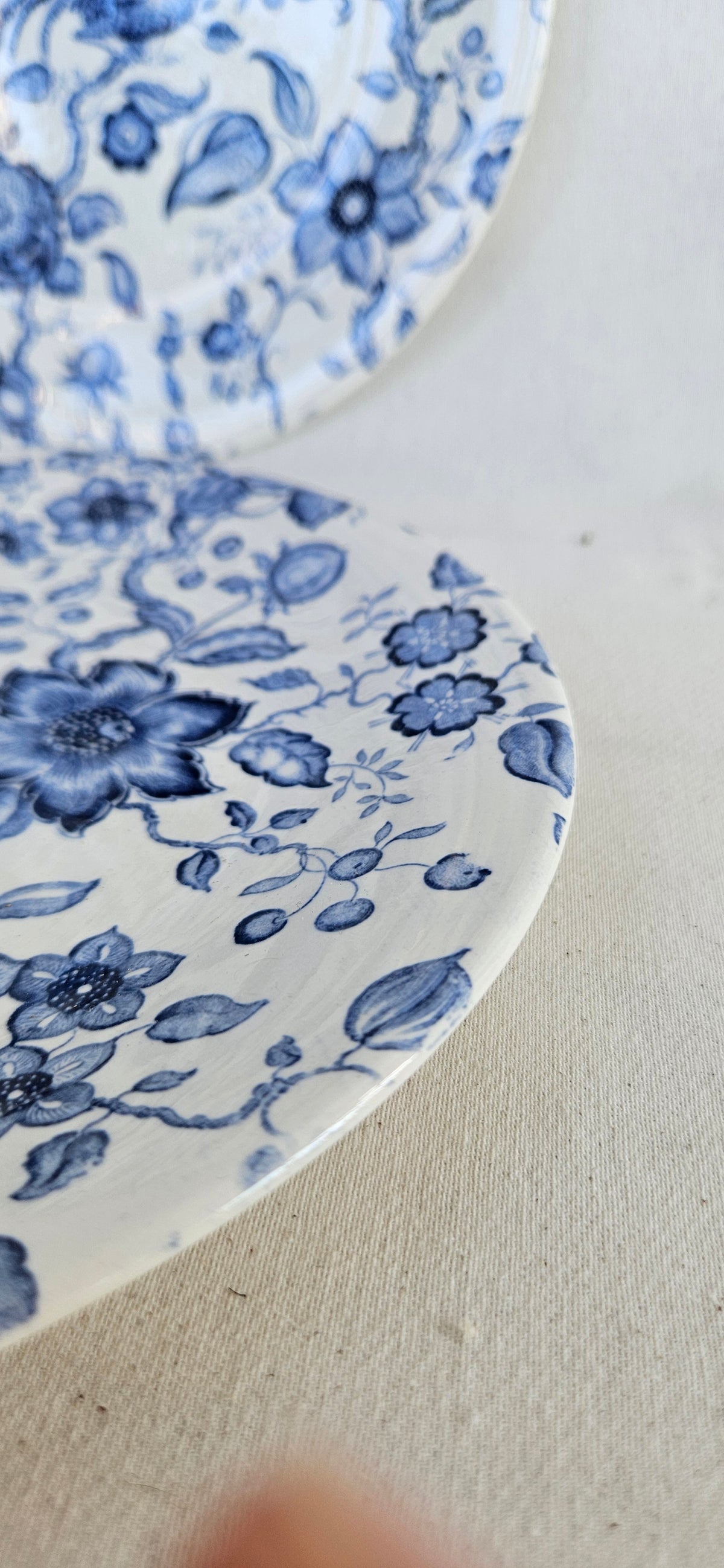 Paire d’assiettes anciennes Villeroy and Boch Paradiso Saar