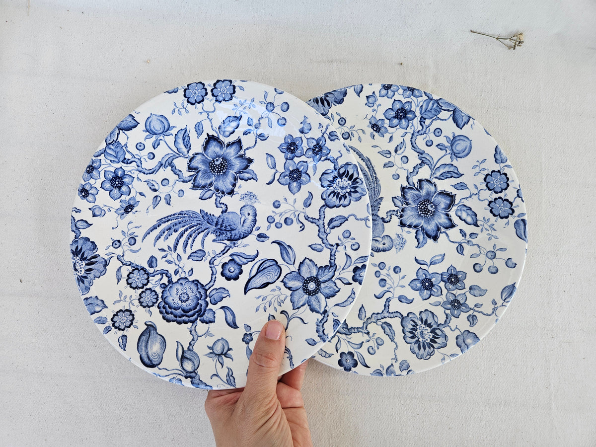 Paire d’assiettes anciennes Villeroy and Boch Paradiso Saar