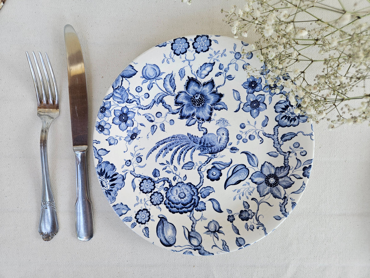 Paire d’assiettes anciennes Villeroy and Boch Paradiso Saar