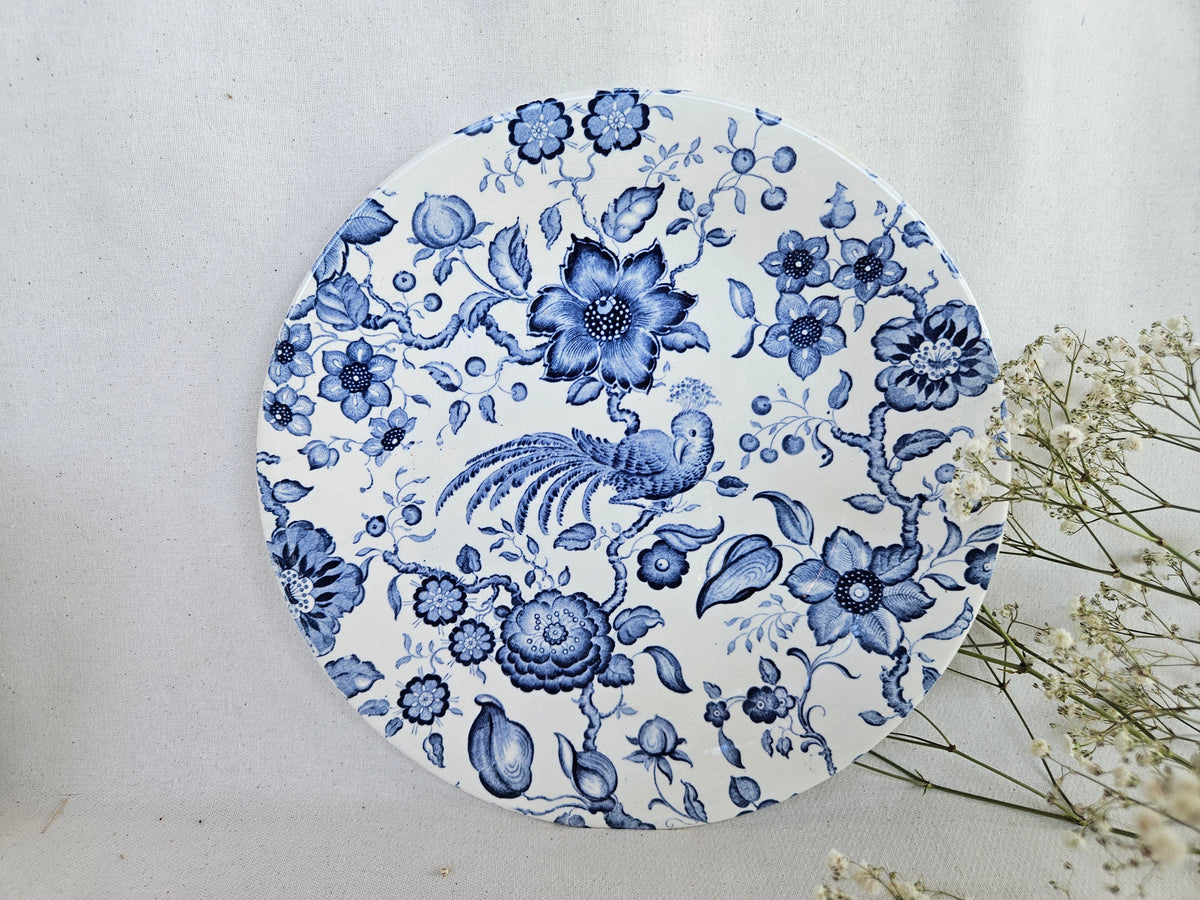 Paire d’assiettes anciennes Villeroy and Boch Paradiso Saar
