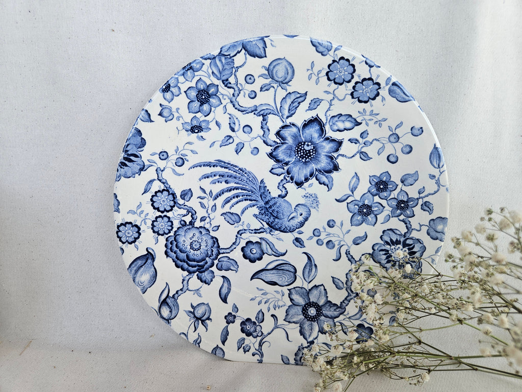 Paire d’assiettes anciennes Villeroy and Boch Paradiso Saar