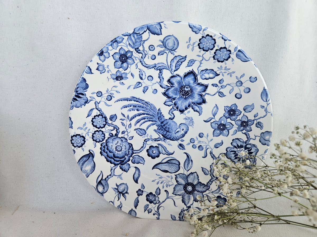 Paire d’assiettes anciennes Villeroy and Boch Paradiso Saar