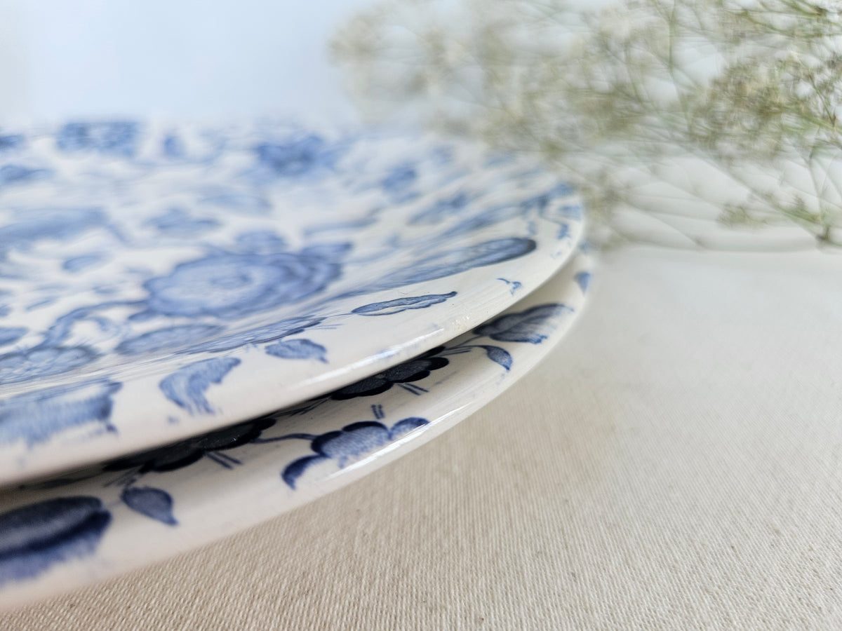 Paire d’assiettes anciennes Villeroy and Boch Paradiso Saar