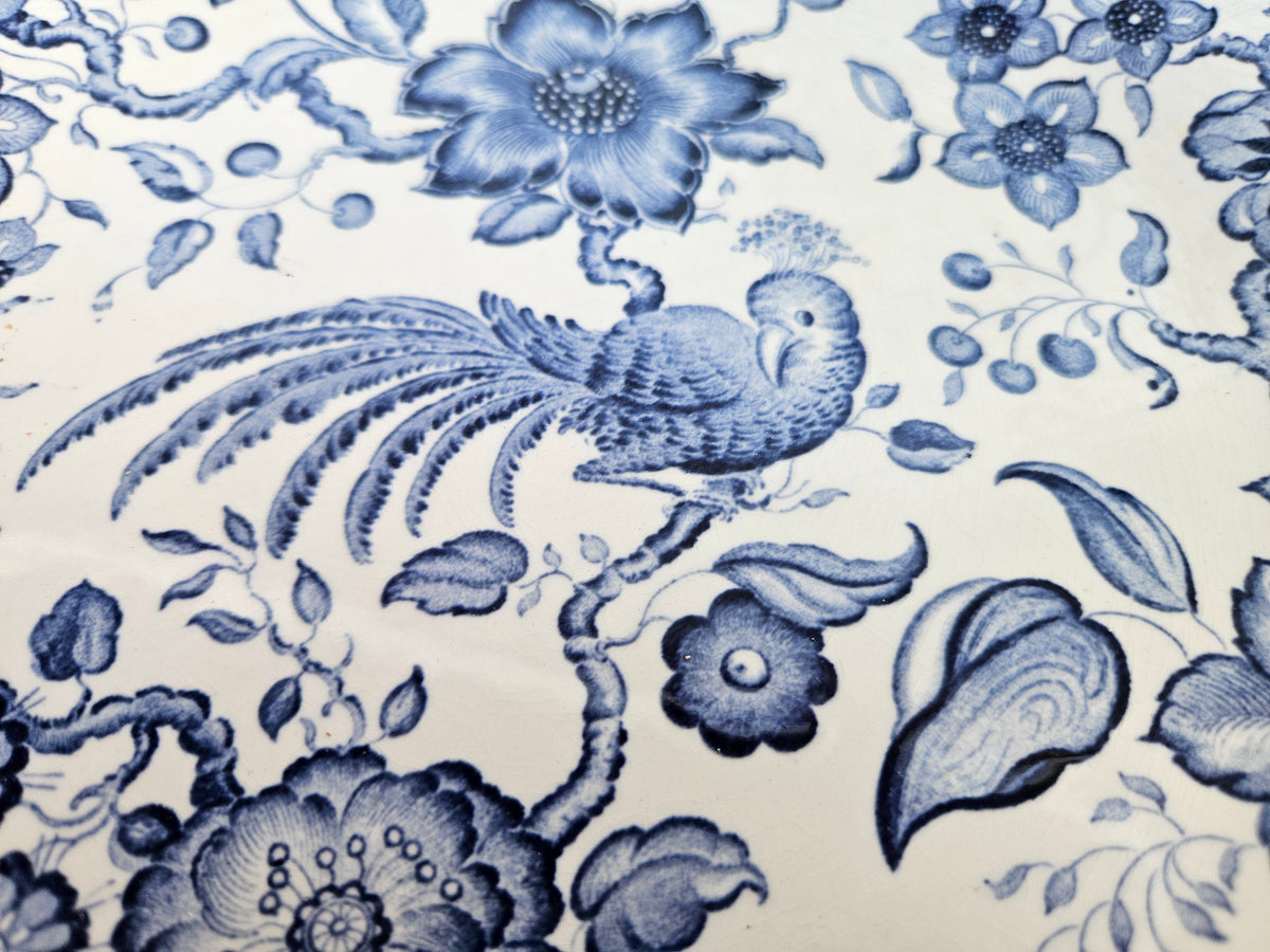Paire d’assiettes anciennes Villeroy and Boch Paradiso Saar