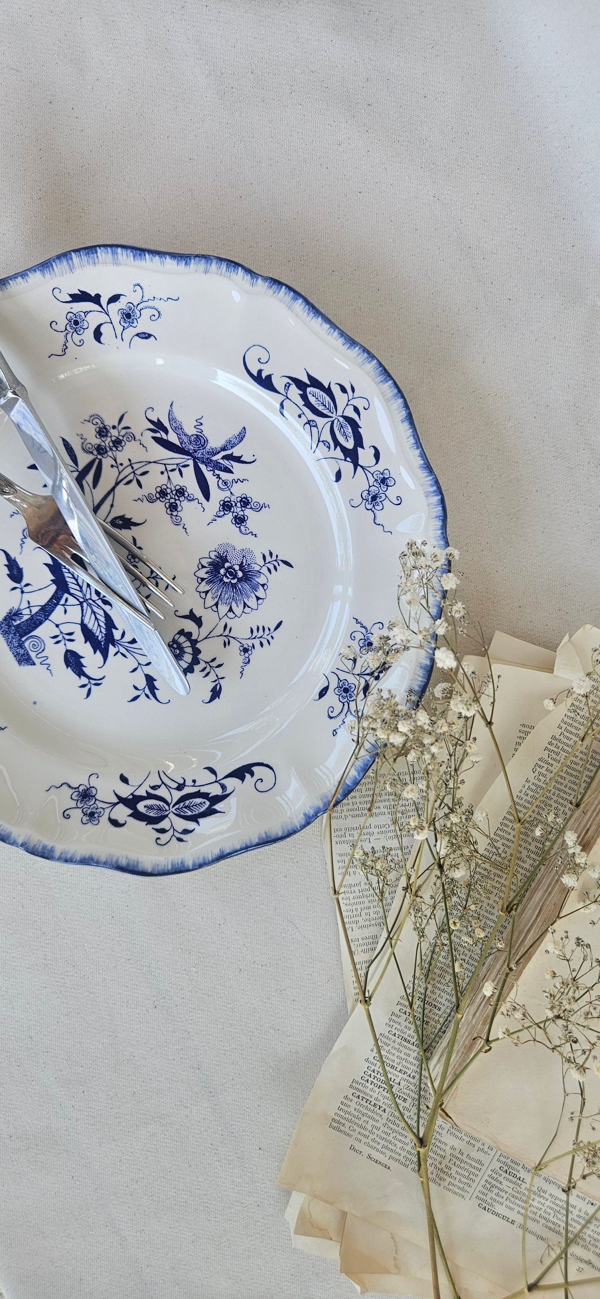 Lot 6 assiettes Sarreguemines Lancaster 25 cm